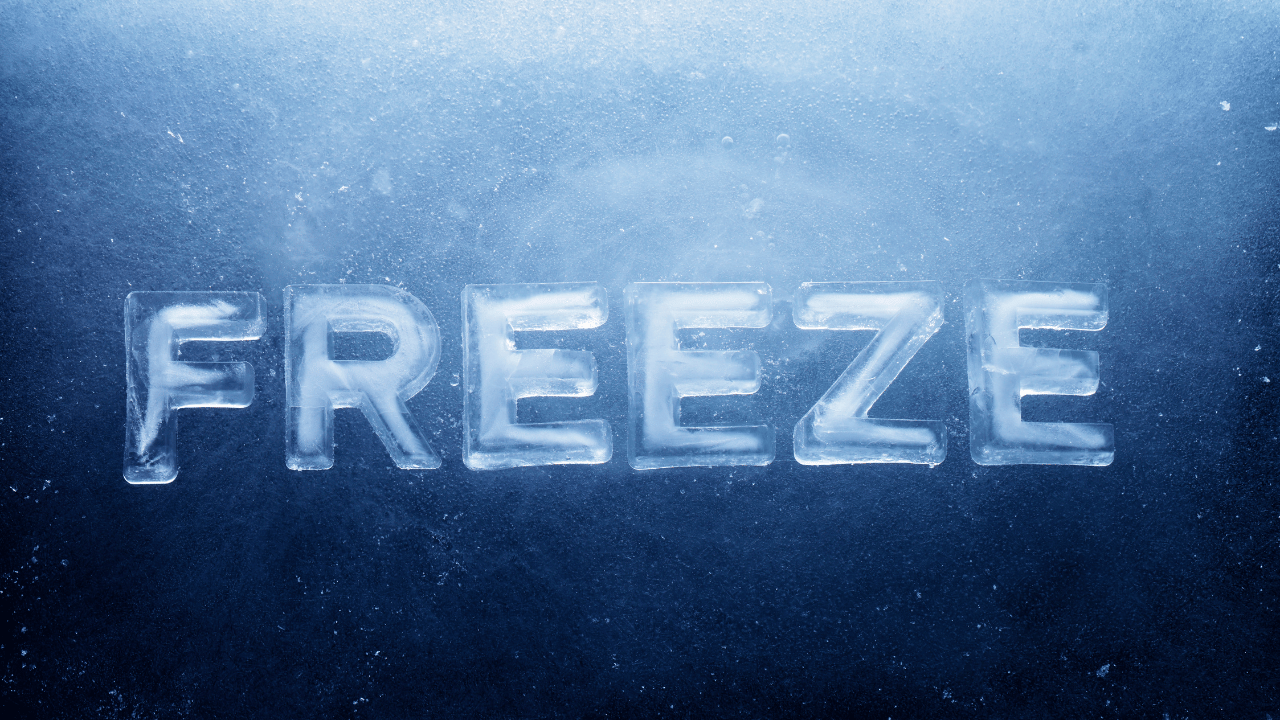 freezes randomly